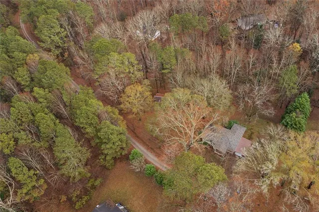 a view of a forest with a yard