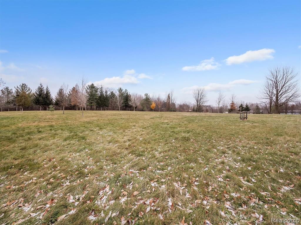 12862 Foley Road Emmett, MI 48022 - Photo 54 of 83
