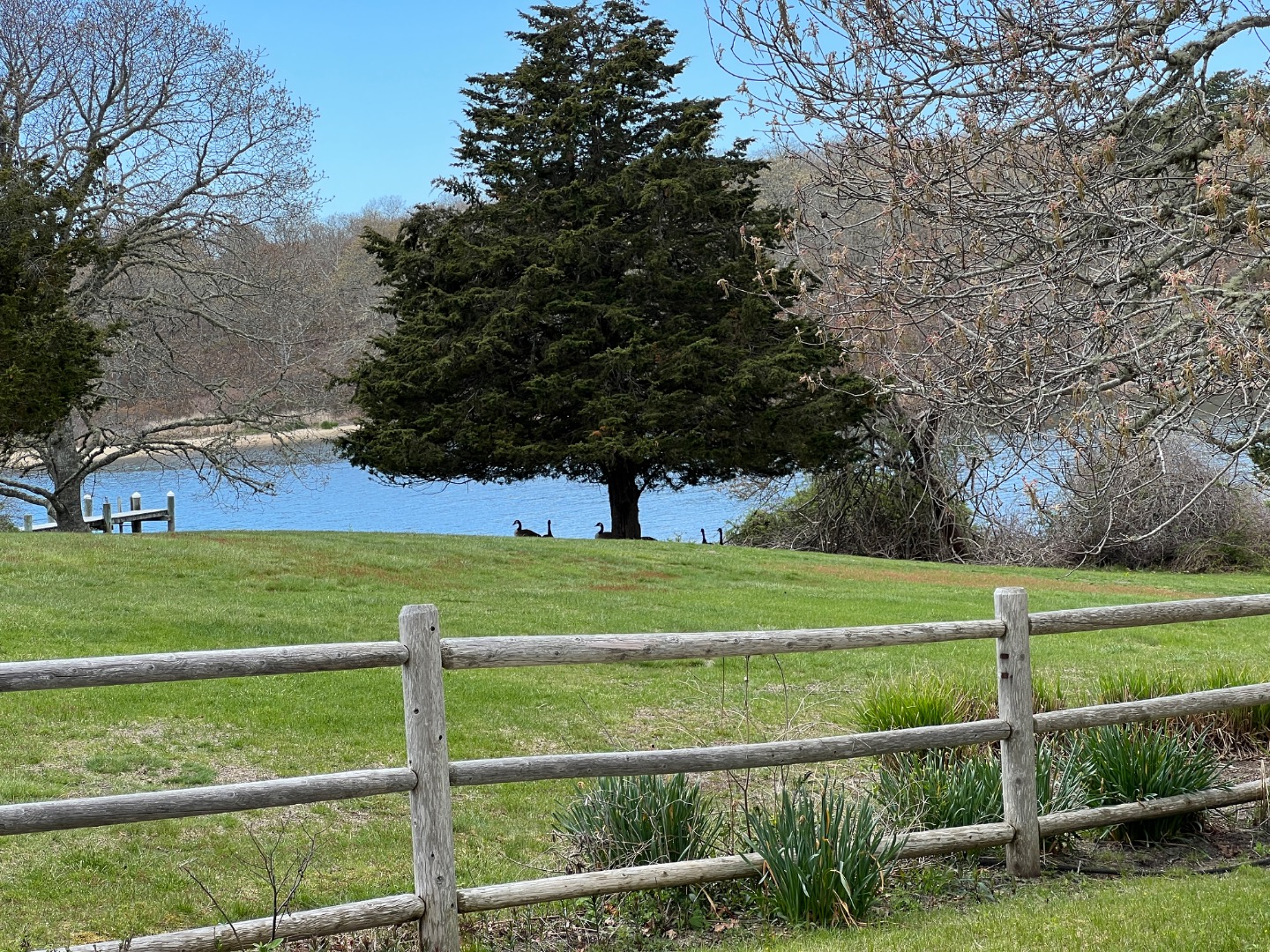 82 Oyster Pond Road Edgartown, MA 02539 - Photo 21 of 53