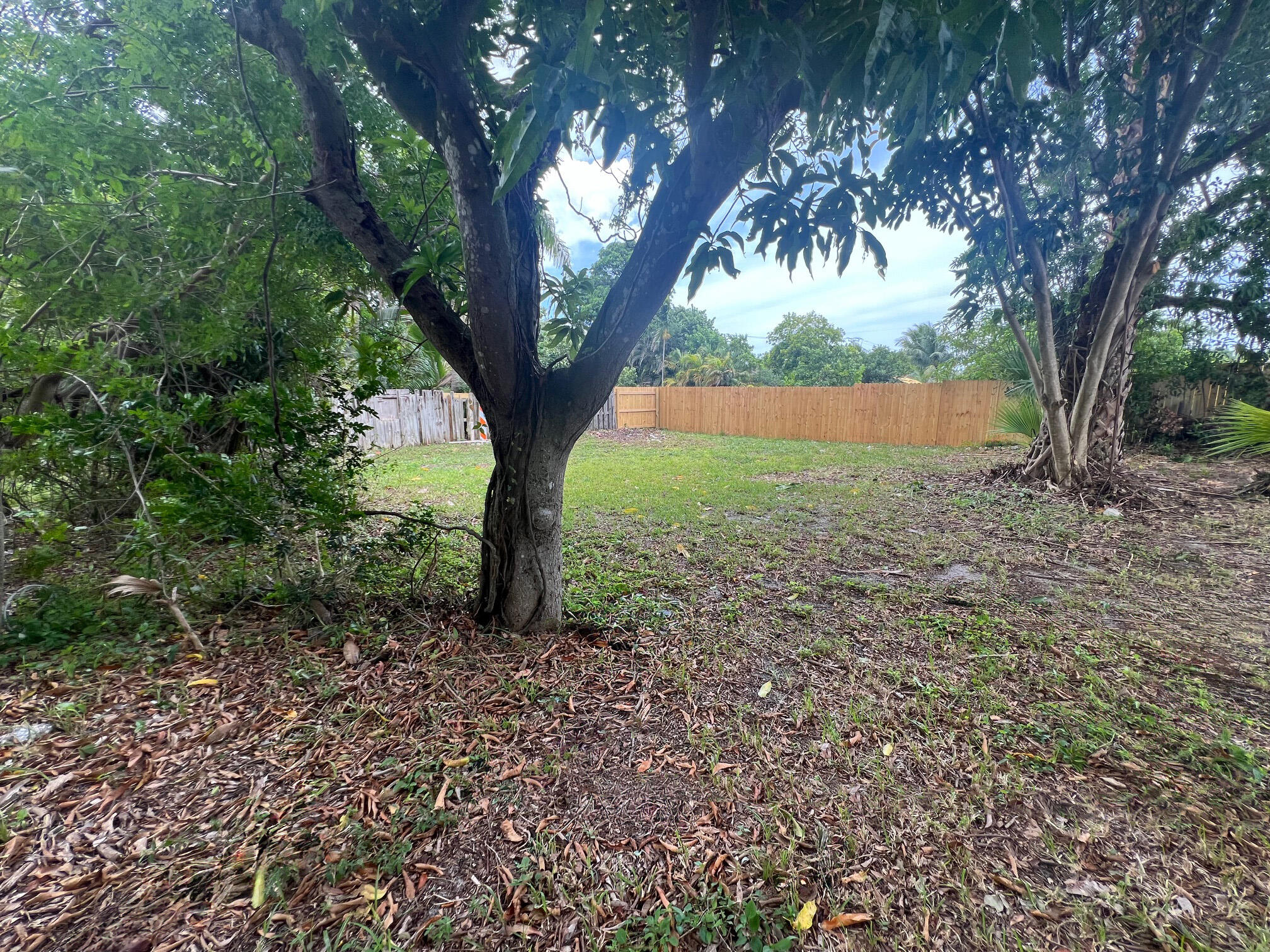 817 Southwest 3rd Court Delray Beach, FL 33444 - Photo 28 of 28 IMG_3087