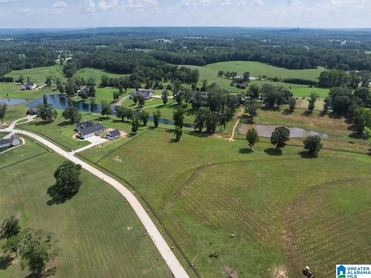 Lot 2 County Road 706, Unit 2 Cullman, AL 35055 - Photo 10 of 30