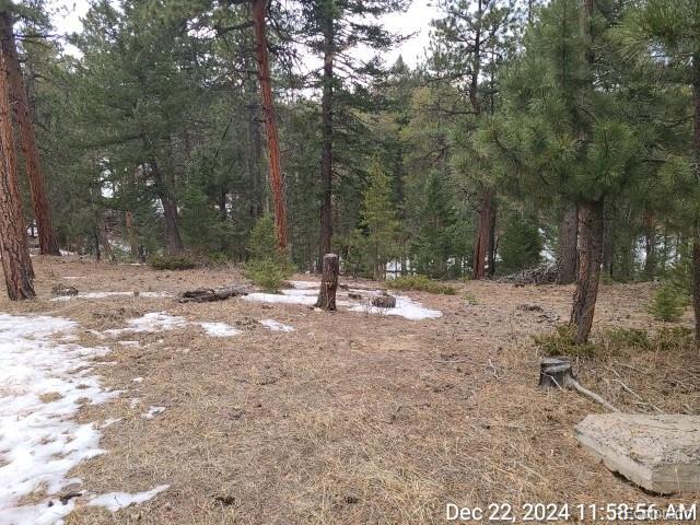 11967 West Ranch Elsie Road Golden, CO 80403 - Photo 27 of 42 Gallery Image 27