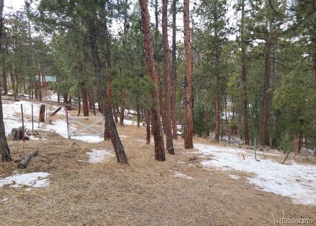 11967 West Ranch Elsie Road Golden, CO 80403 - Photo 33 of 42 Gallery Image 33
