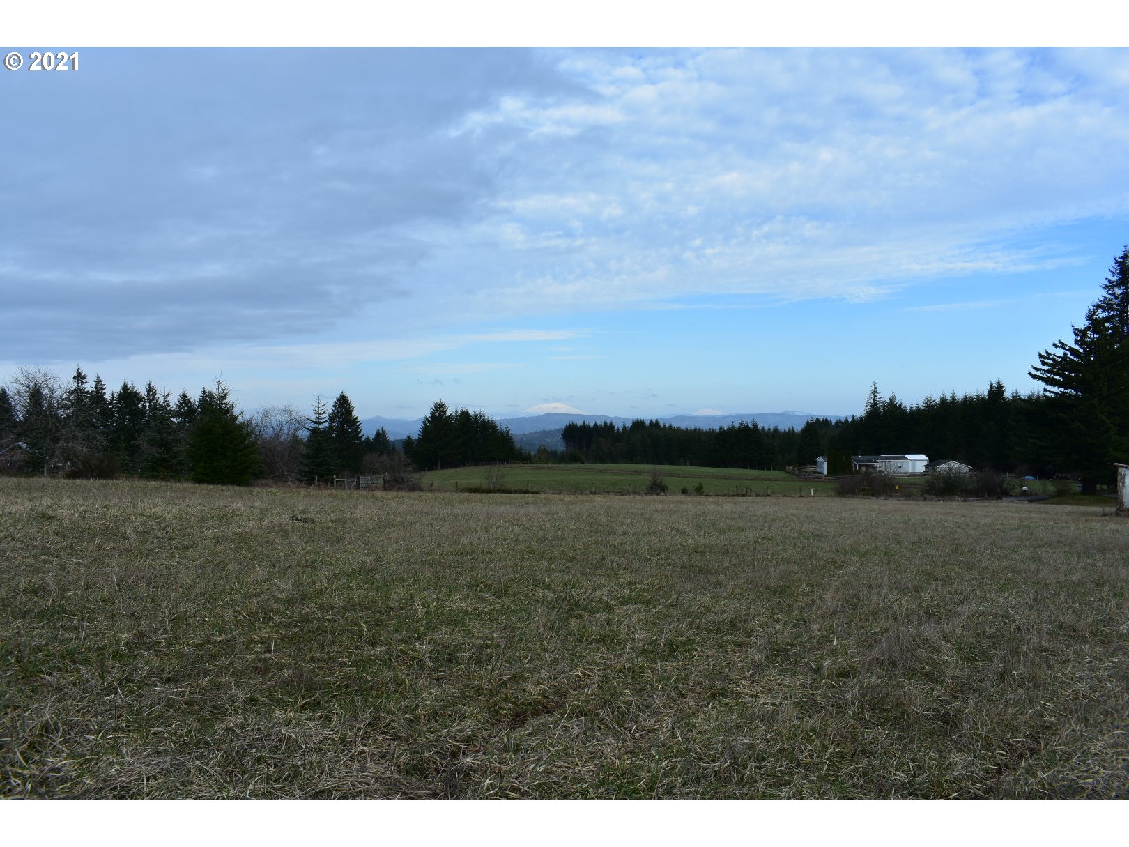 65671 Meissner Road Deer Island, OR 97054 - Photo 22 of 28 Gallery Image 22