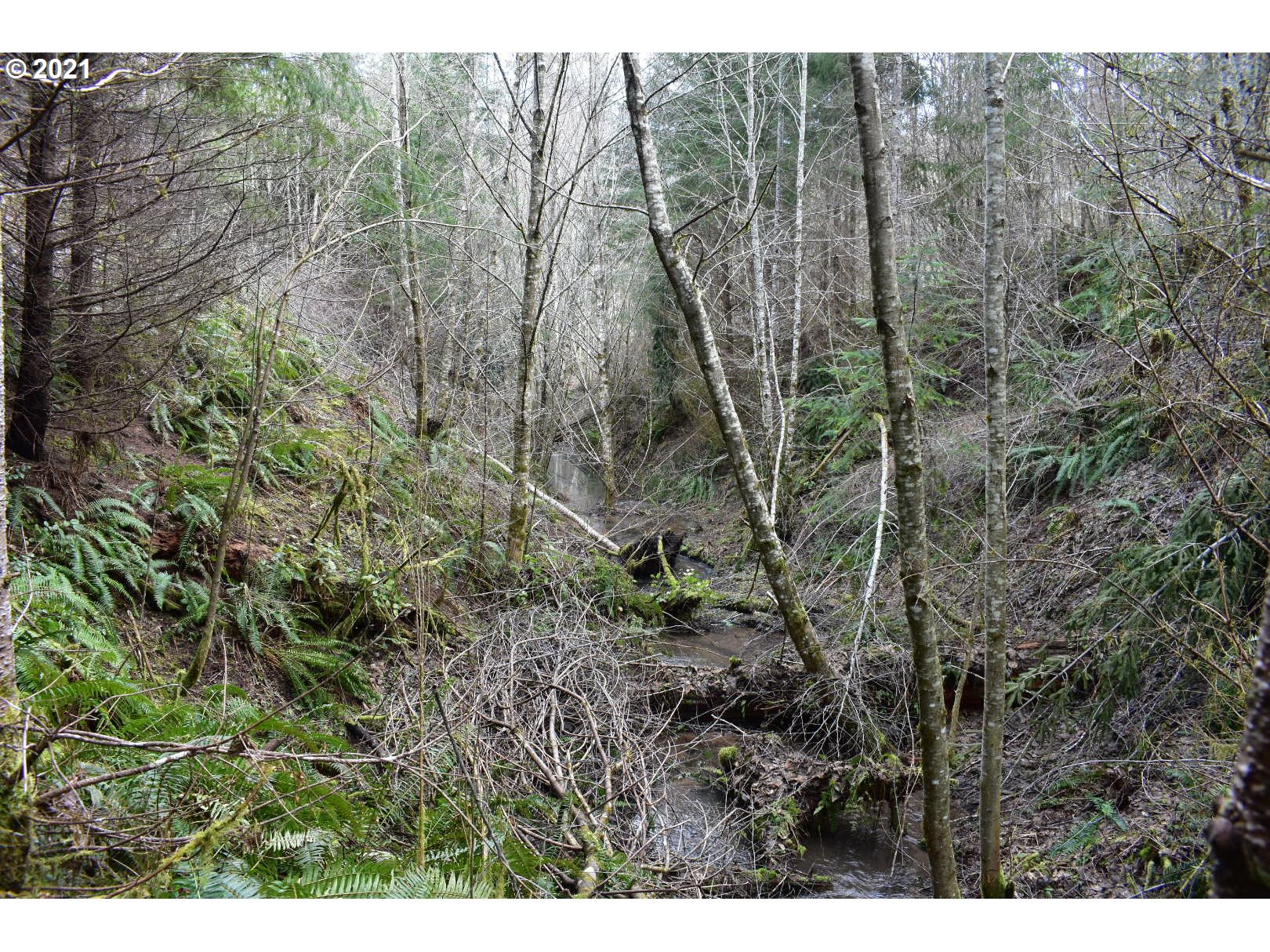 65671 Meissner Road Deer Island, OR 97054 - Photo 24 of 28 Gallery Image 24