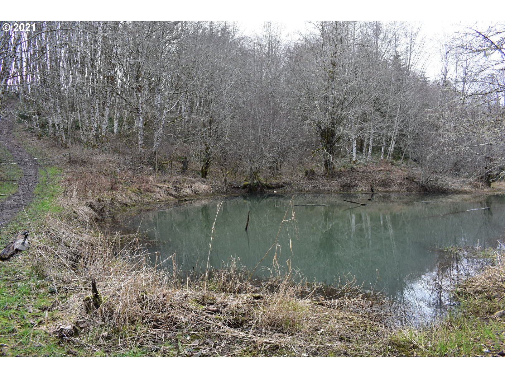 65671 Meissner Road Deer Island, OR 97054 - Photo 25 of 28 Gallery Image 25