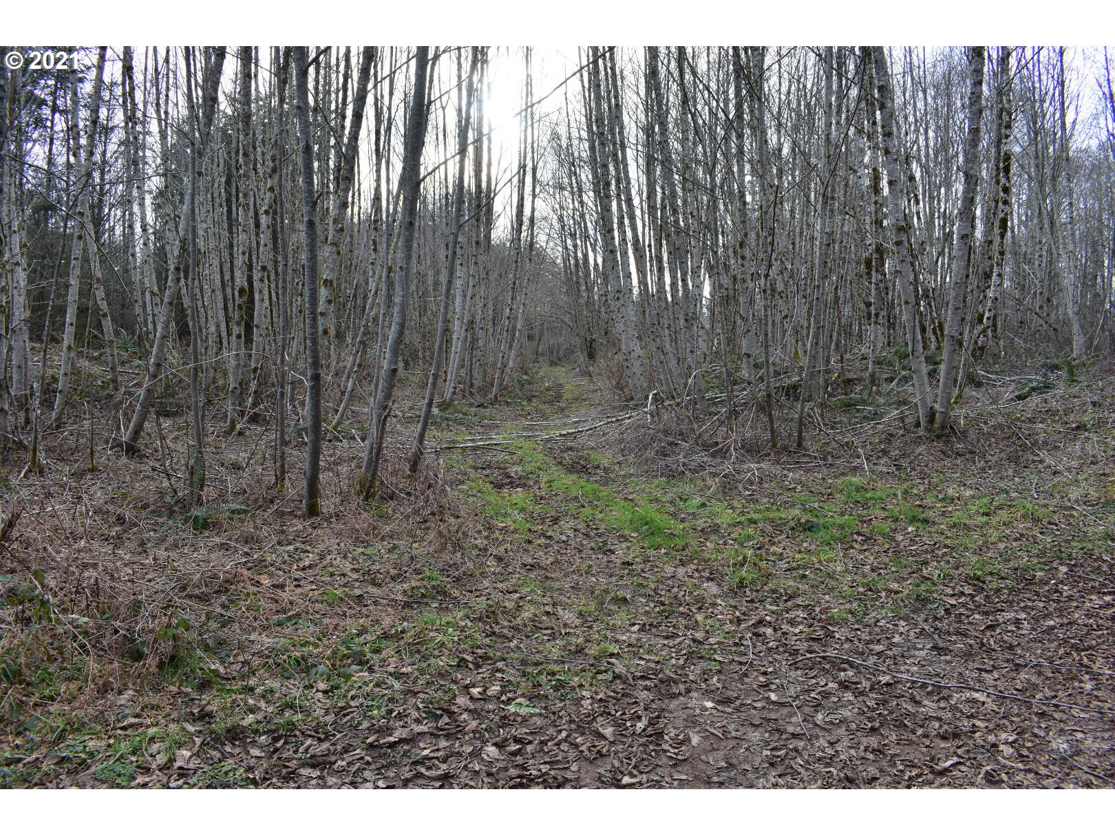 65671 Meissner Road Deer Island, OR 97054 - Photo 26 of 28 Gallery Image 26