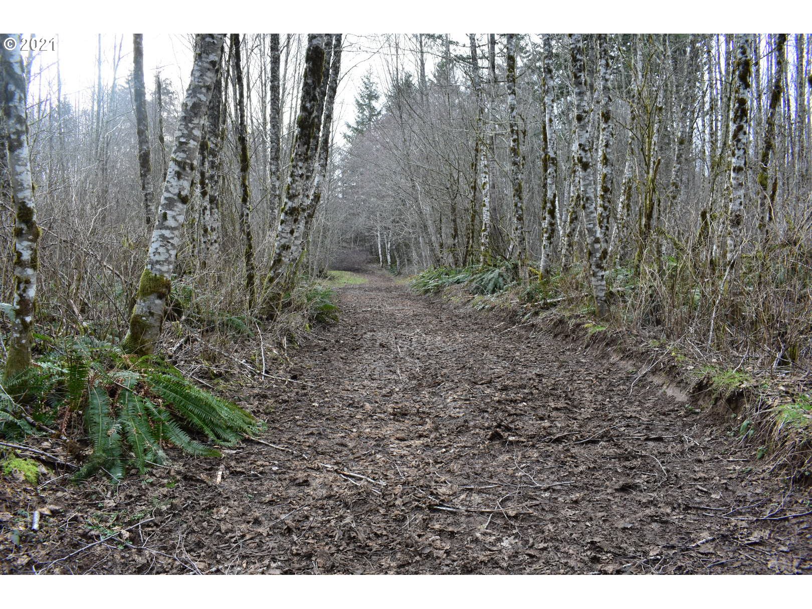 65671 Meissner Road Deer Island, OR 97054 - Photo 27 of 28 Gallery Image 27