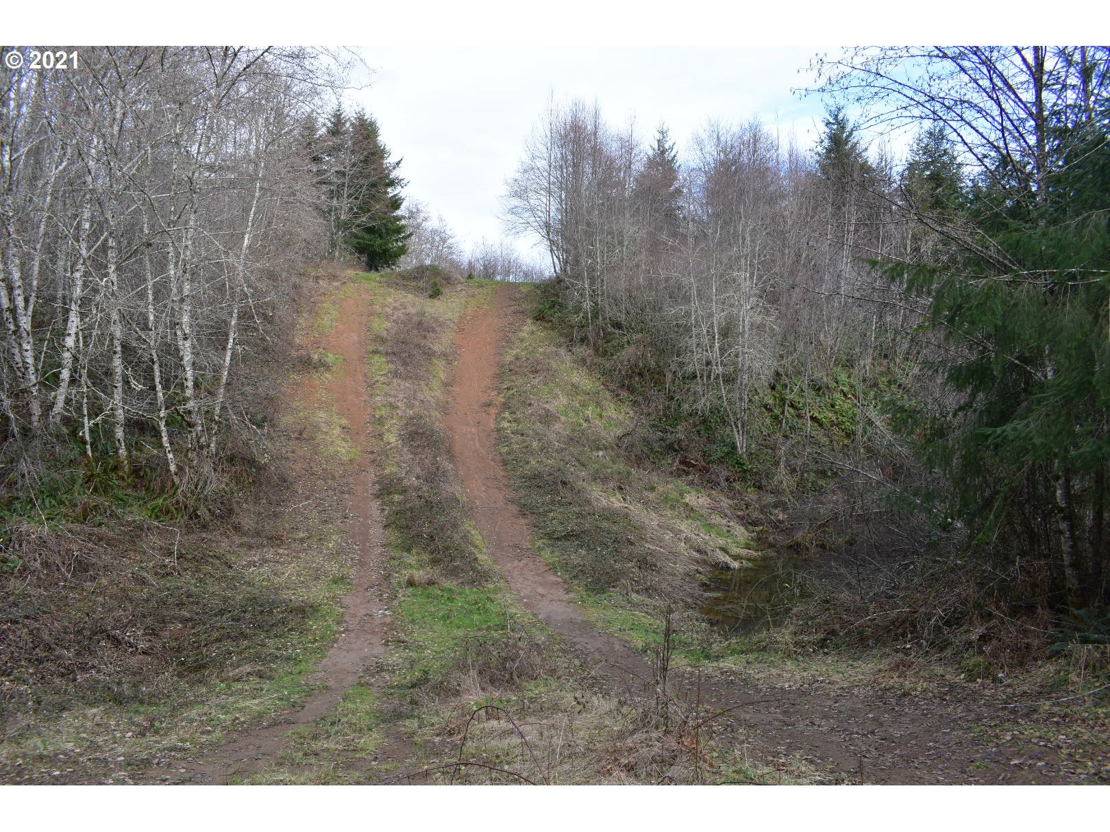 65671 Meissner Road Deer Island, OR 97054 - Photo 28 of 28 Gallery Image 28