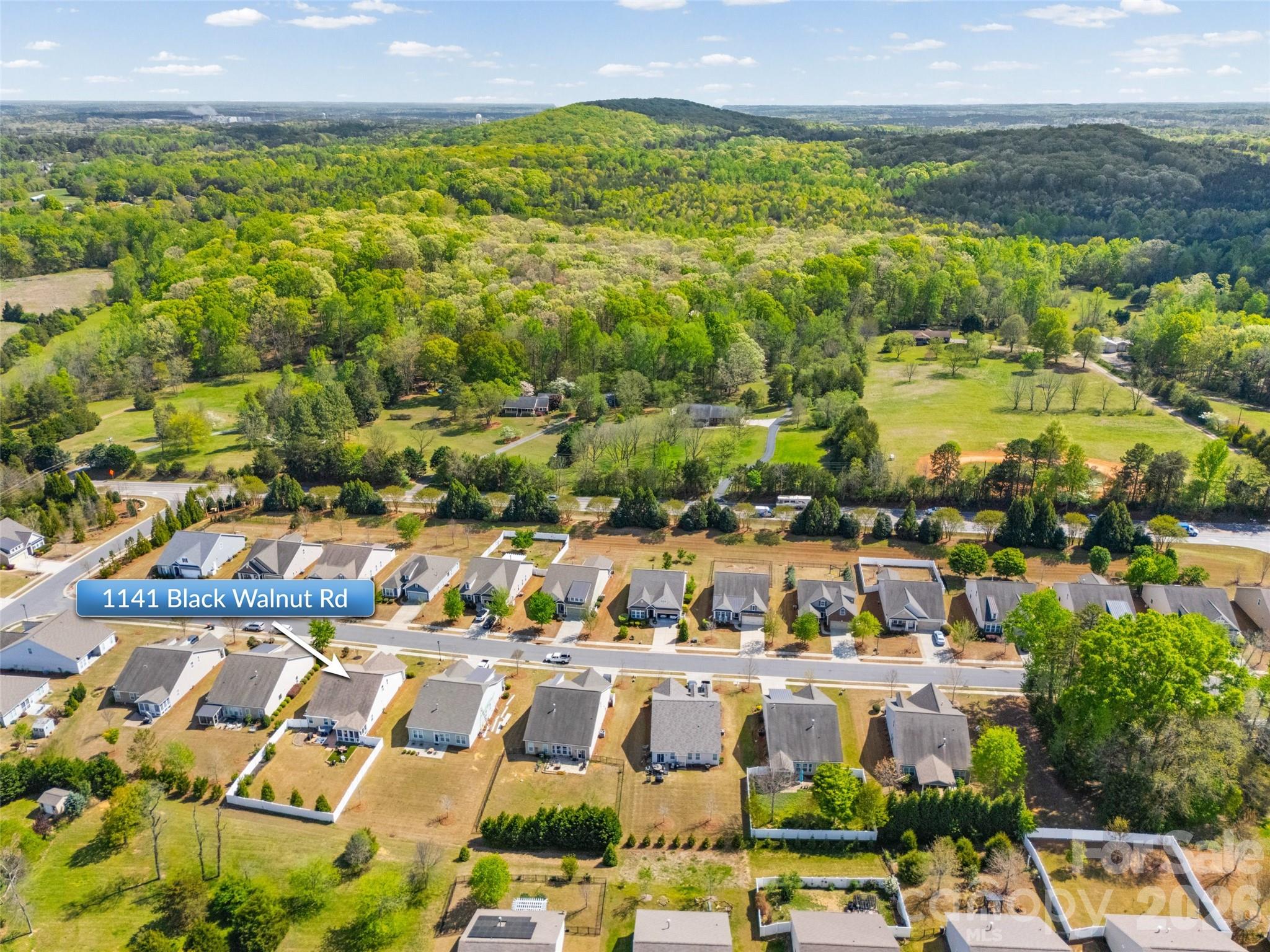 1141 Black Walnut Road, Unit 25 Clover, SC 29710 - Photo 3 of 30