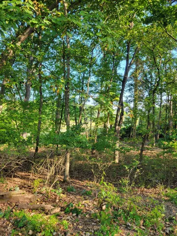 $120,000 | 10433 Country Club Drive, Richland, MI 49083