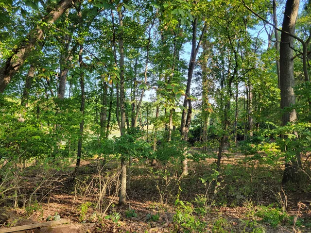 $120,000 | 10433 Country Club Drive, Richland, MI 49083