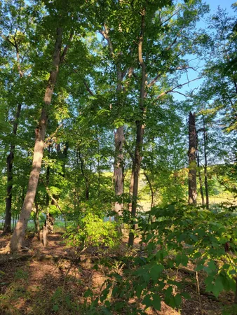 $120,000 | 10433 Country Club Drive, Richland, MI 49083