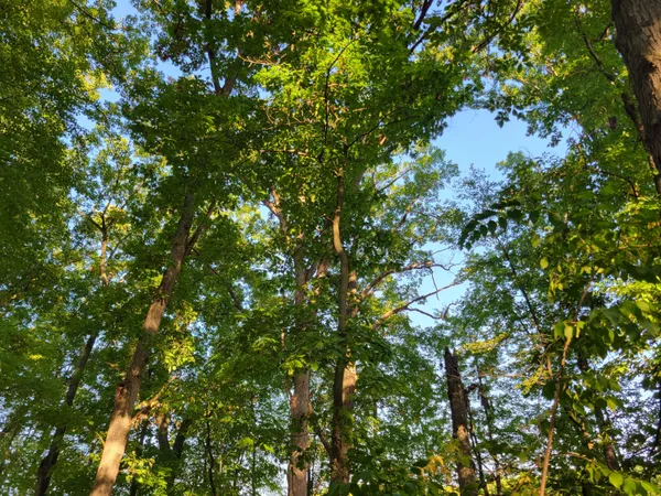 $120,000 | 10433 Country Club Drive, Richland, MI 49083