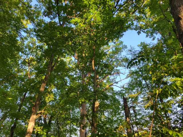 $120,000 | 10433 Country Club Drive, Richland, MI 49083