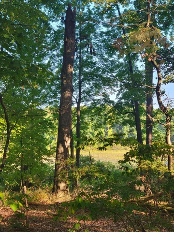 $120,000 | 10433 Country Club Drive, Richland, MI 49083