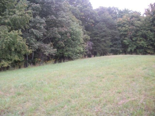 9999 Calico Road Berea, KY 40403 - Photo 3 of 7 Photo 3