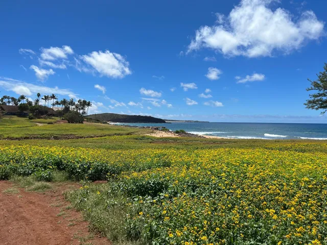 $409,000 | 100 Lio Place, Unit N1, Maunaloa, HI 96770