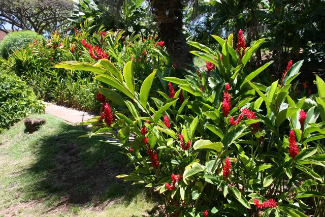 $409,000 | 100 Lio Place, Unit N1, Maunaloa, HI 96770