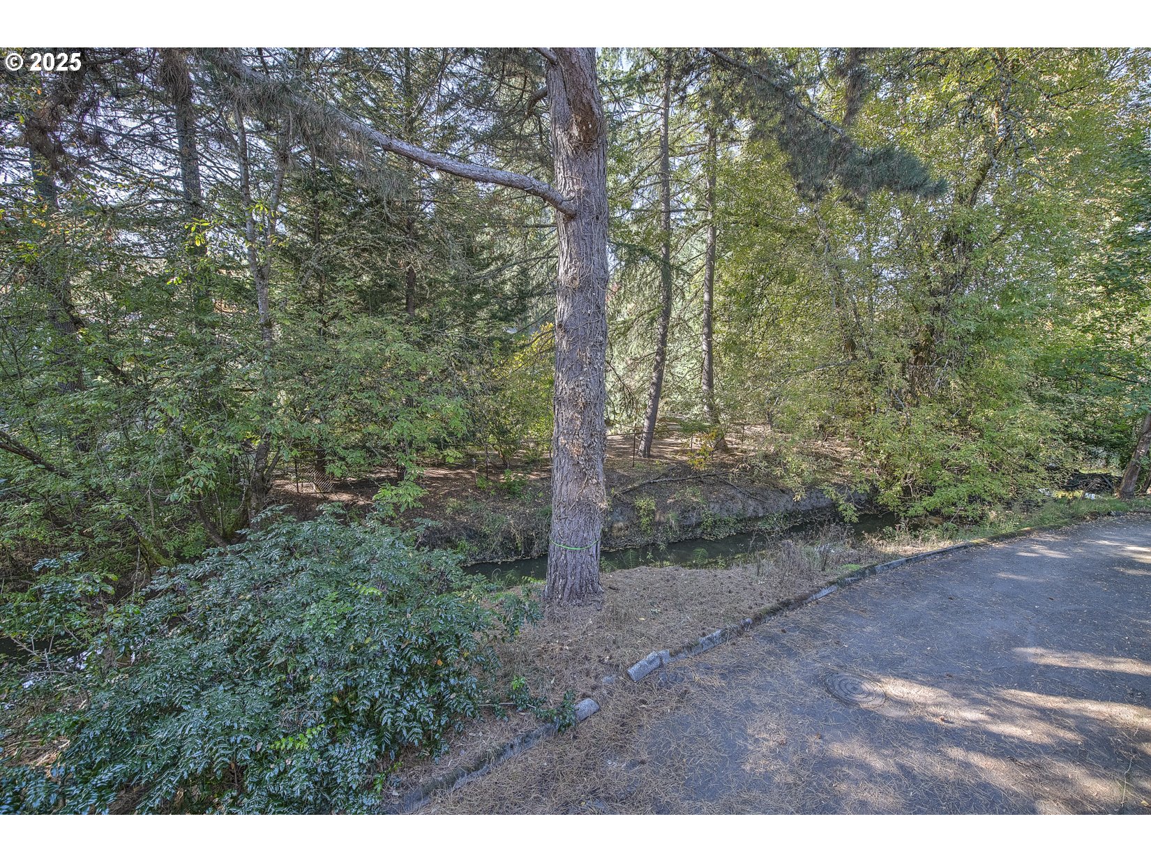 5109 Southwest Oleson Road Portland, OR 97225 - Photo 38 of 39 Gallery Image 38