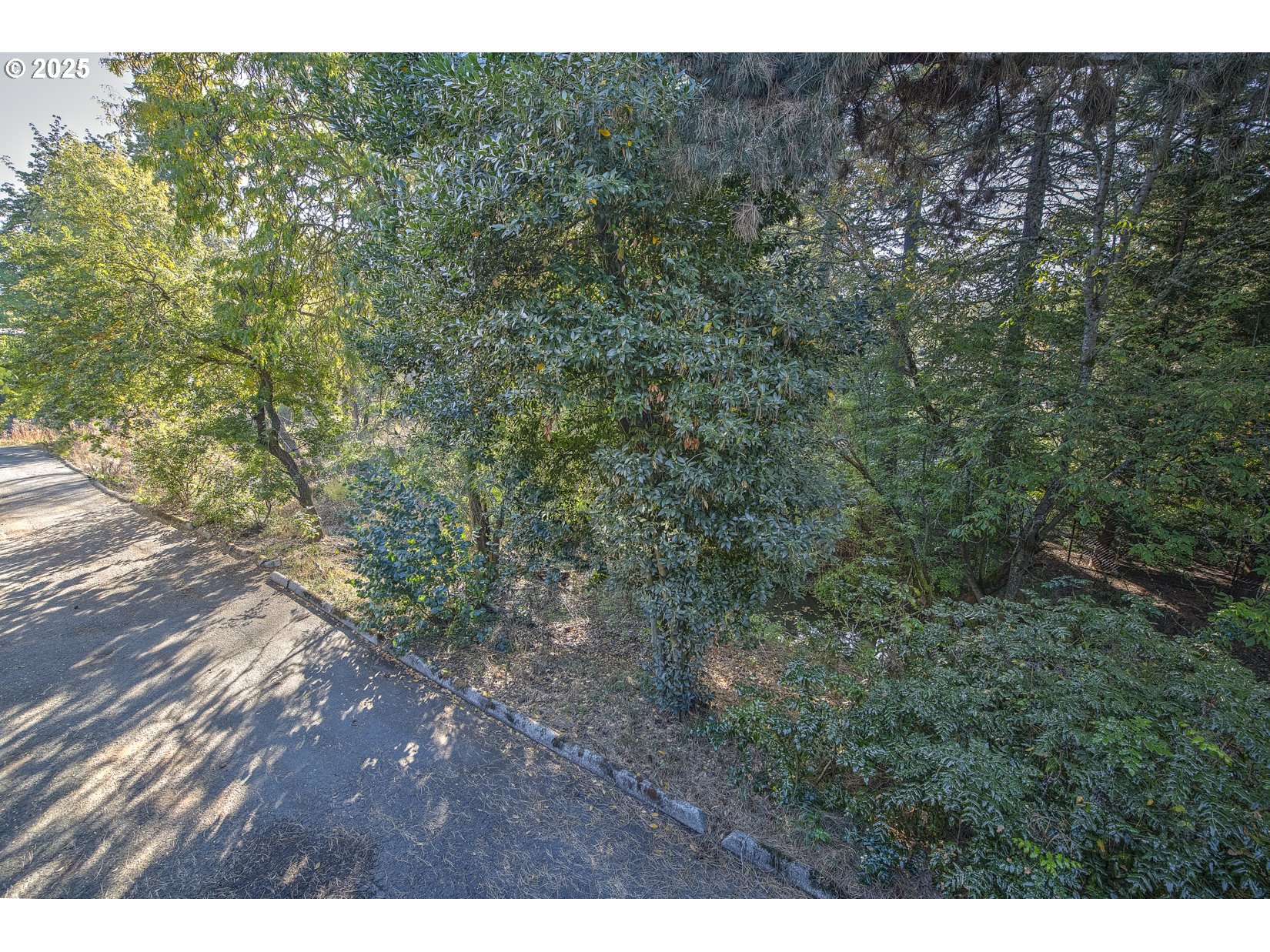 5109 Southwest Oleson Road Portland, OR 97225 - Photo 39 of 39 Gallery Image 39