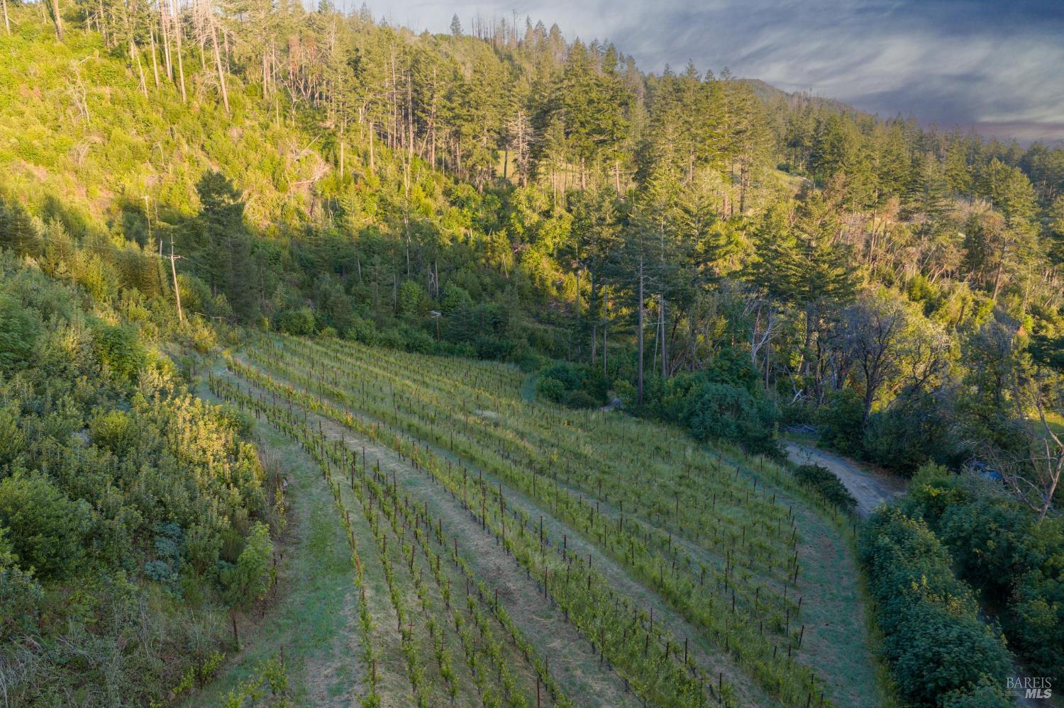 3801 Mt Veeder Road Napa, CA 94558 - Photo 18 of 22
