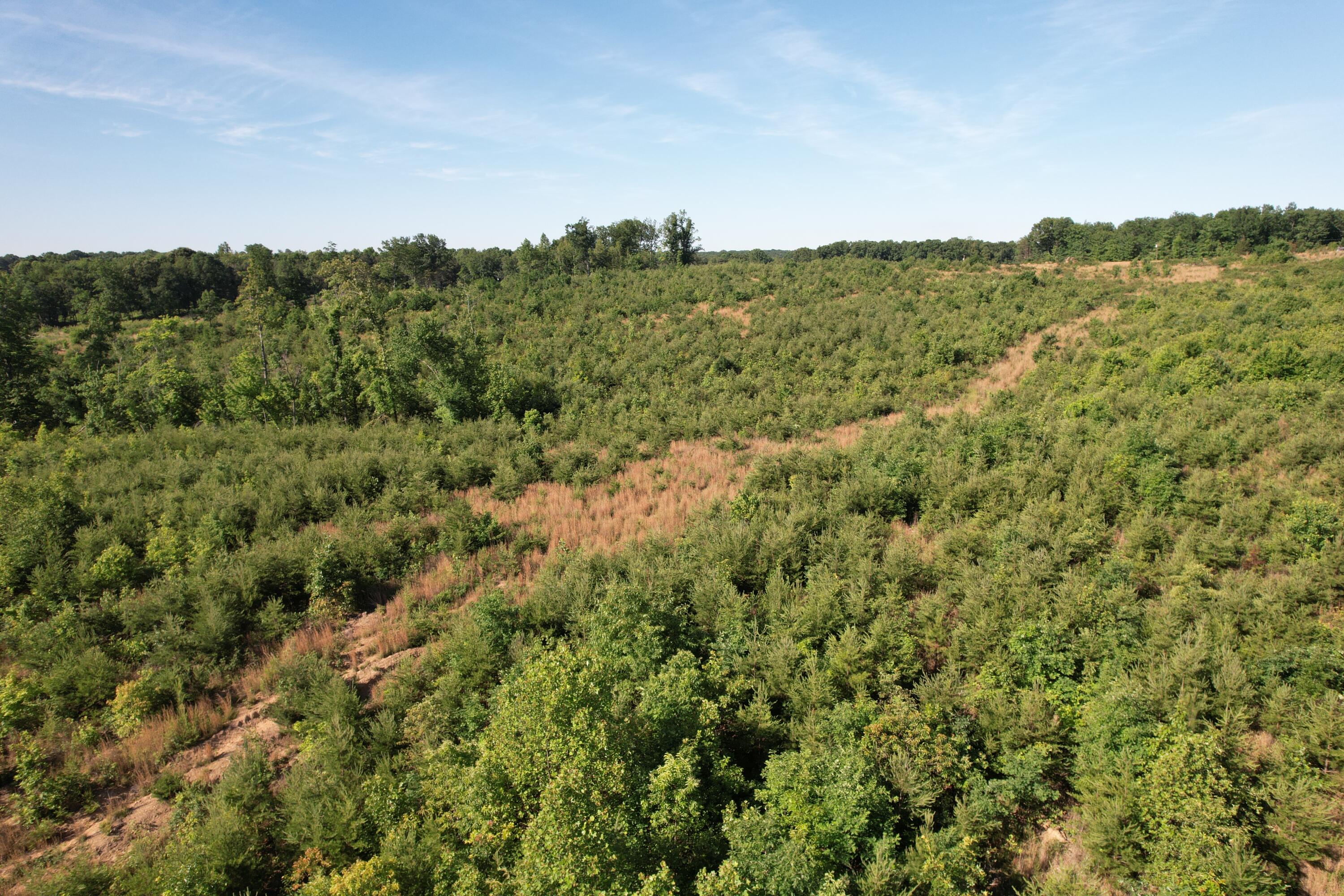 0 Georges Creek Road Gretna, VA 24557 - Photo 11 of 18 DJI_0528