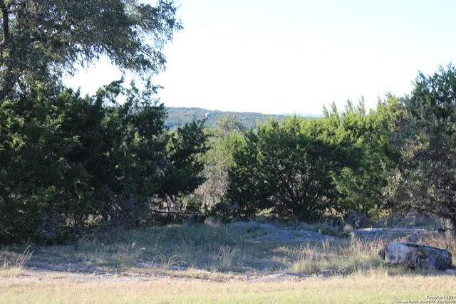 $150,000 | 463 Lantana Mesa, Spring Branch, TX 78070