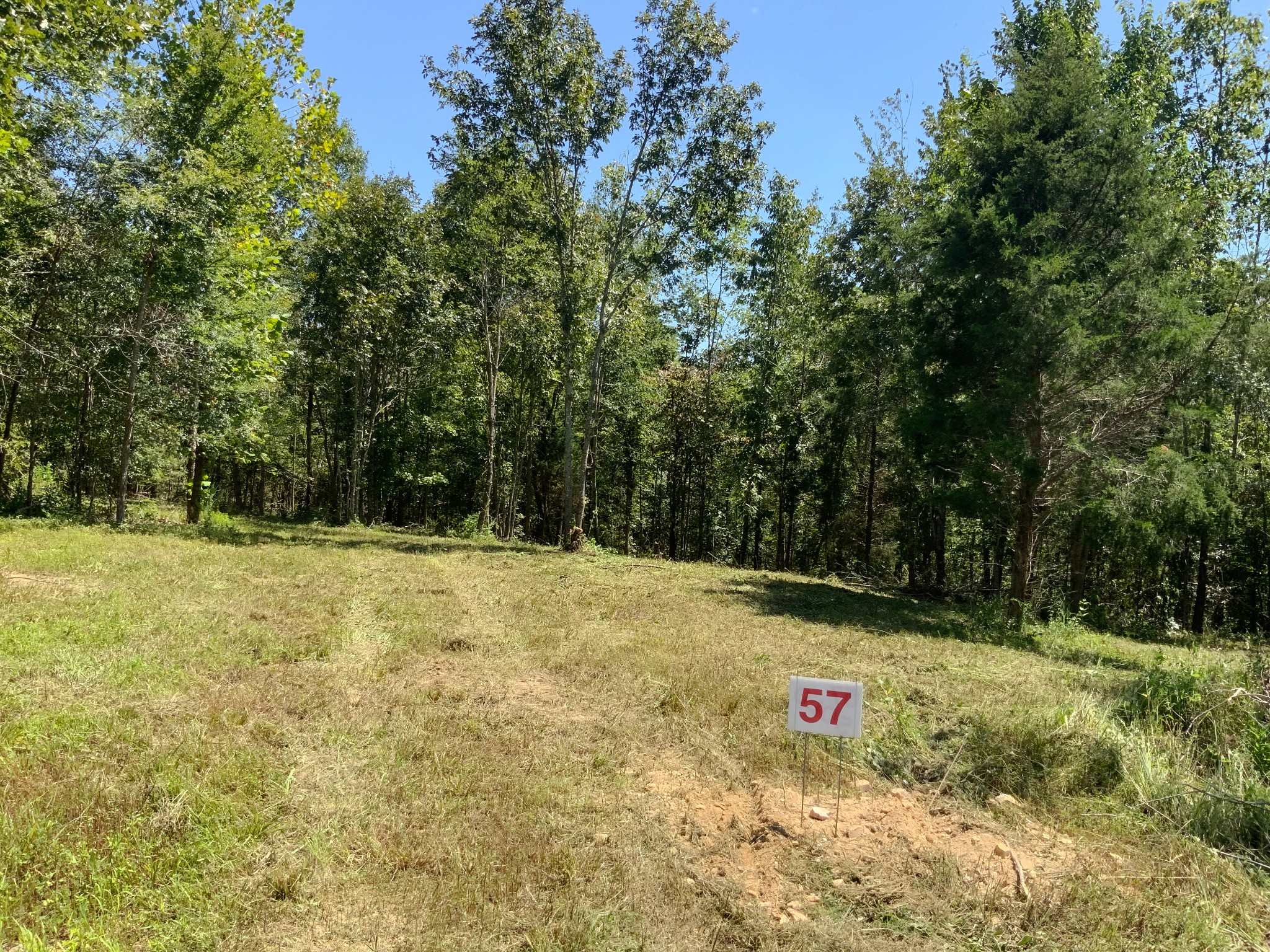 0 Streamside Drive Dover, TN 37058 - Photo 2 of 28 Gallery Image 2