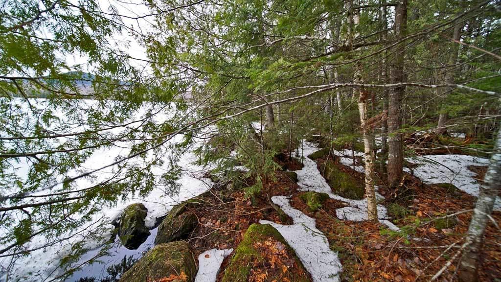 97 Gardner Point Road Mount Chase, ME 04765 - Photo 21 of 33 shin-pond-land-me-1