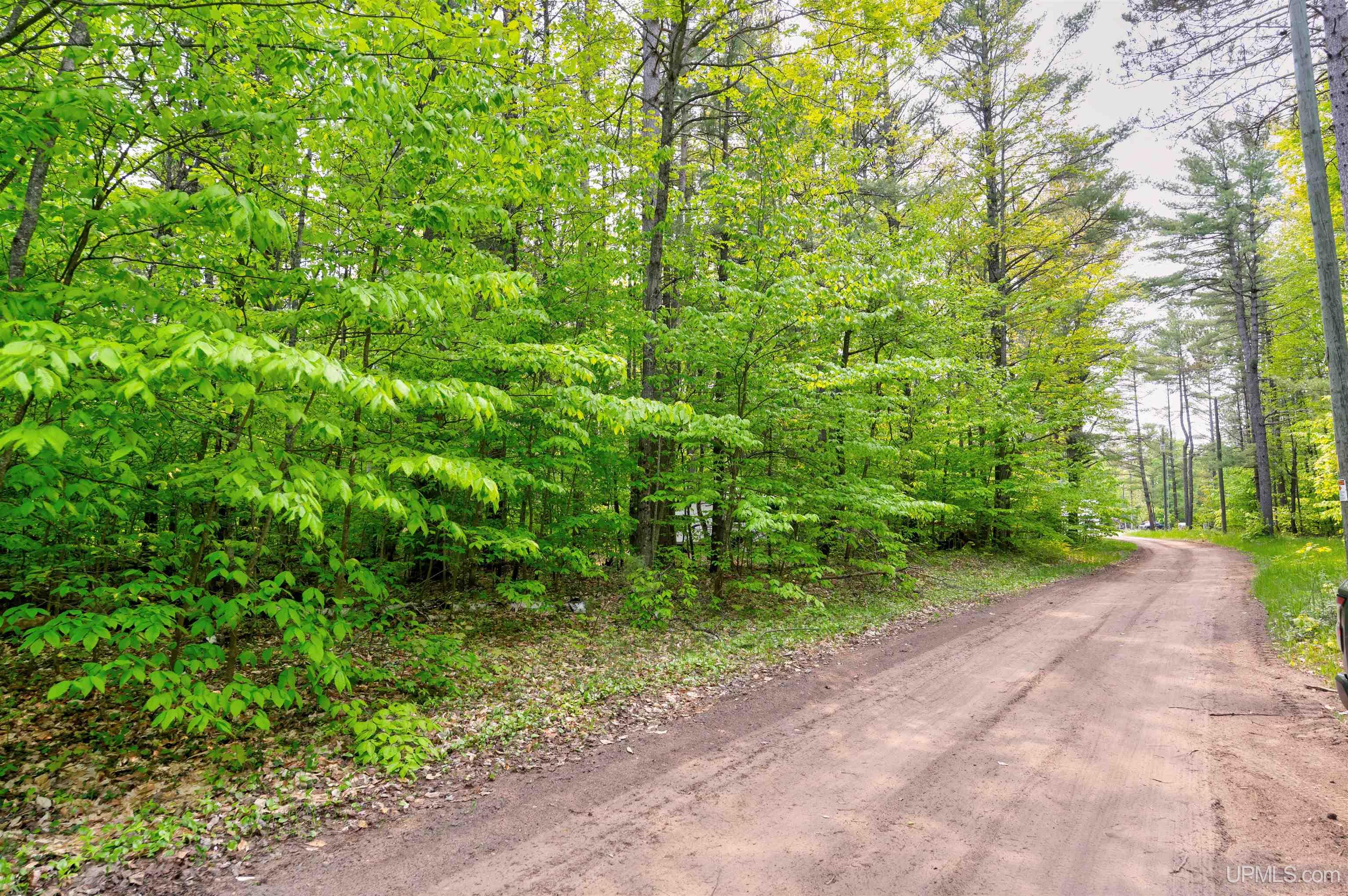 Tbd West Lily Lk Road Manistique, MI 49854 - Photo 7 of 7
