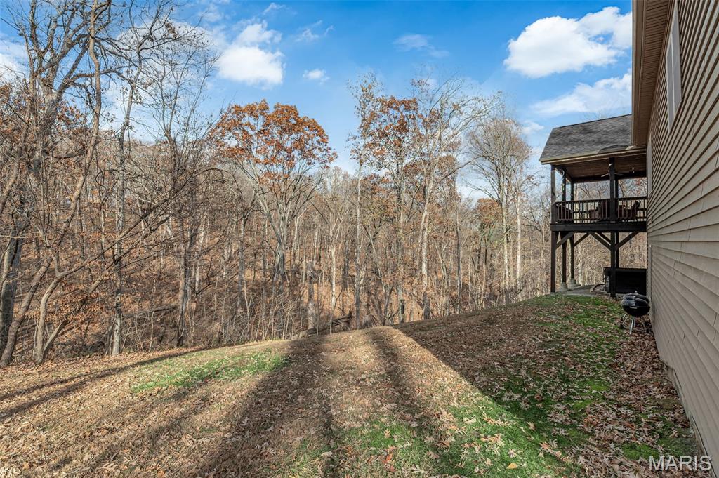 19301 Babler Forest Road Wildwood, MO 63005 - Photo 41 of 43