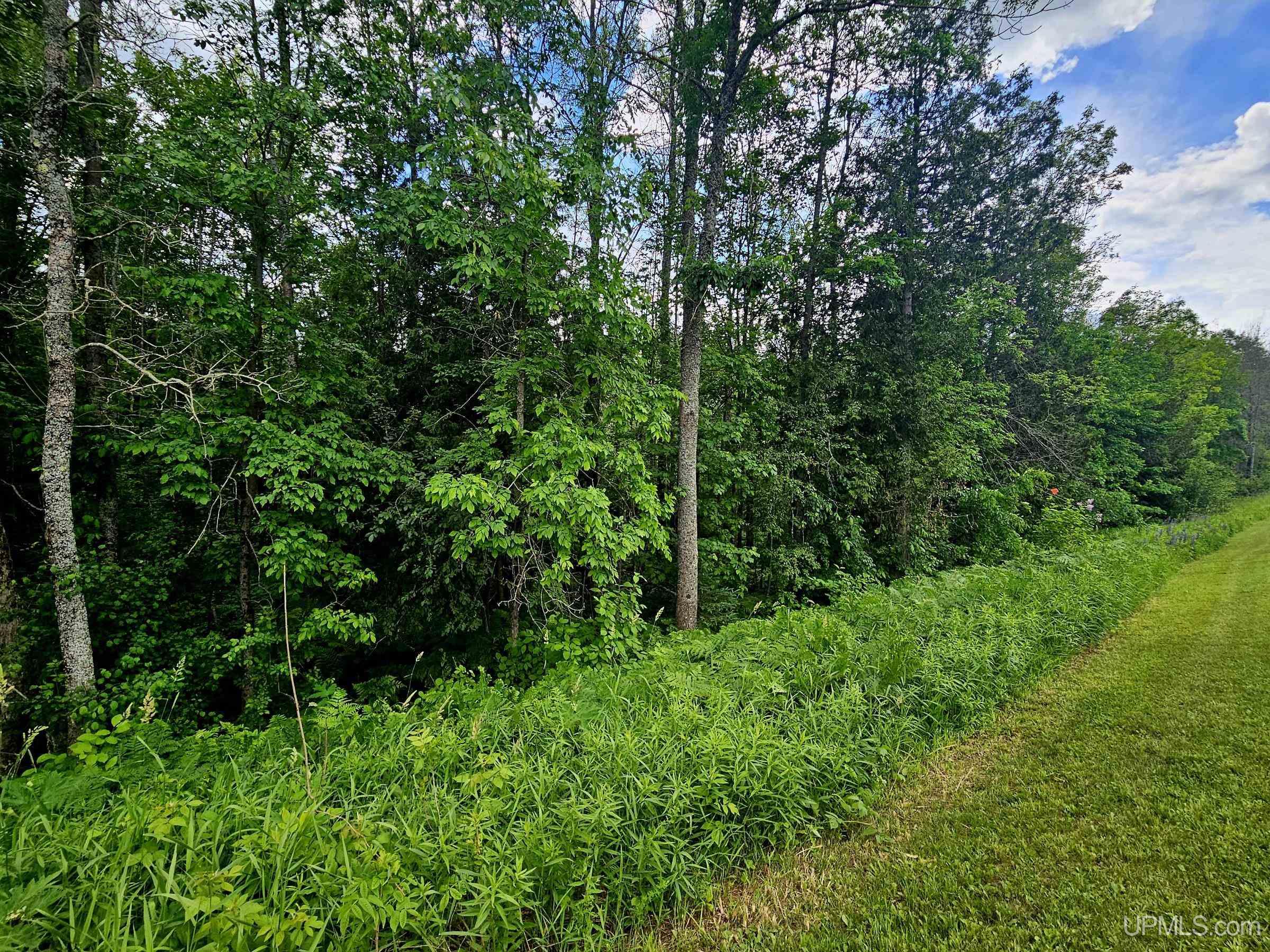 5.9-acres Jackson Road Ironwood, MI 49938 - Photo 8 of 12