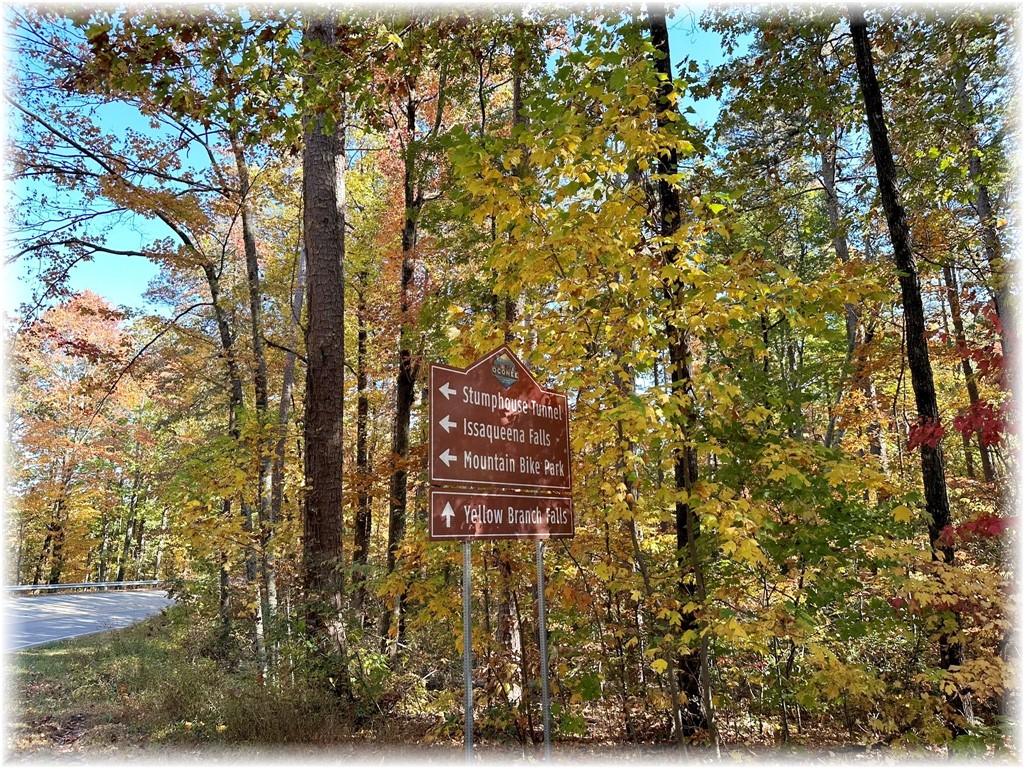0 Cassidy Bridge Road, Unit TRACT B Mountain Rest, SC 29664 - Photo 23 of 25 Gallery Image 23