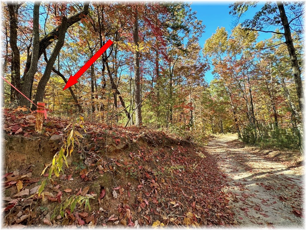 0 Cassidy Bridge Road, Unit TRACT B Mountain Rest, SC 29664 - Photo 8 of 25 Gallery Image 8