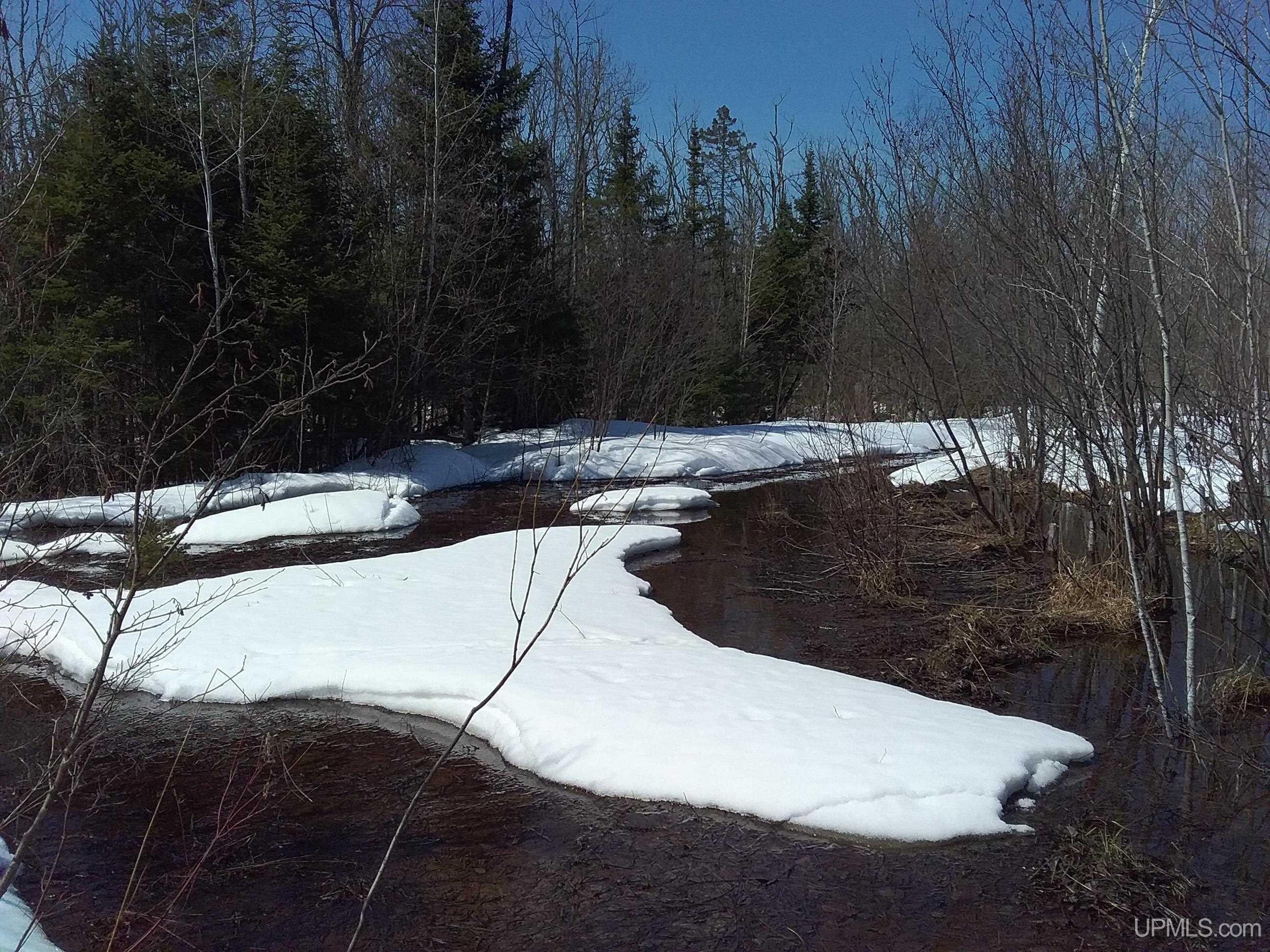 V25 Rd Trenary Mi 49891 Road Rapid River, MI 49878 - Photo 4 of 28