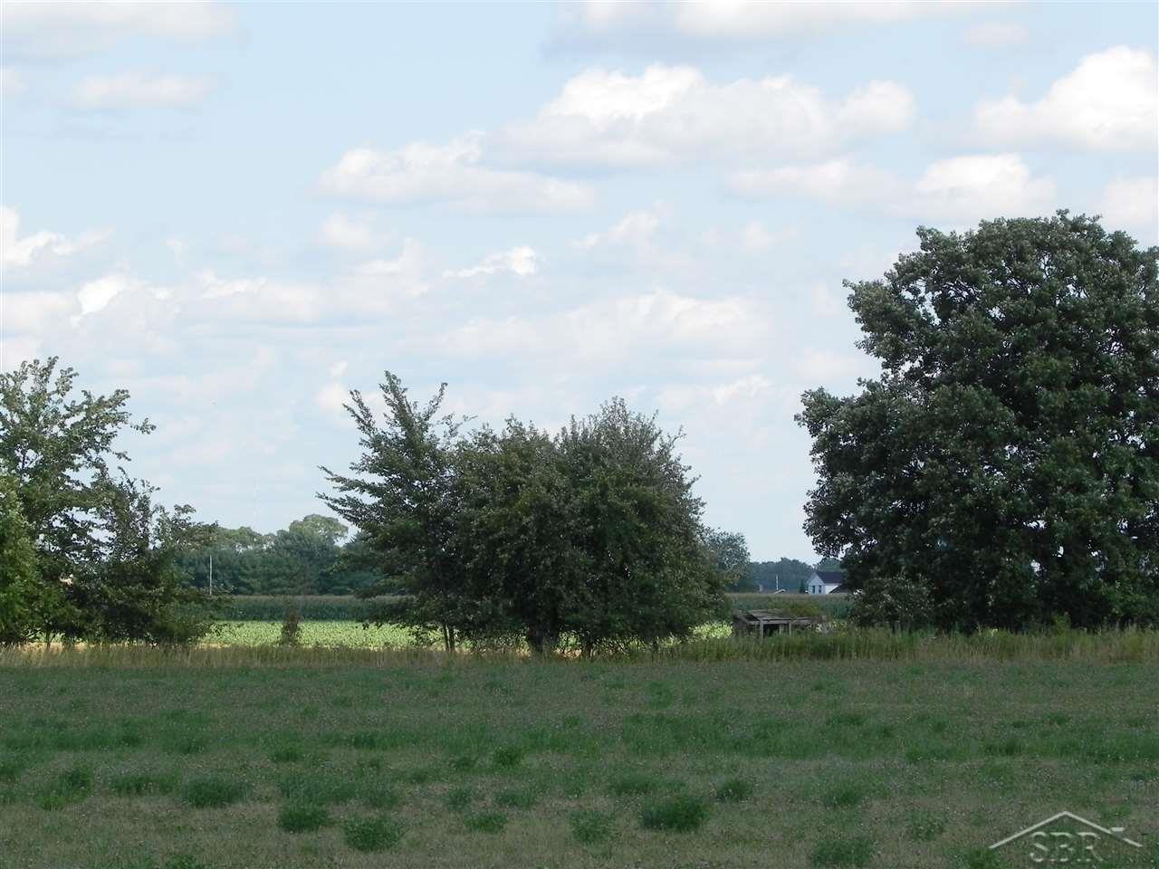 7321 Fraser Road Freeland, MI 48623 - Photo 39 of 60