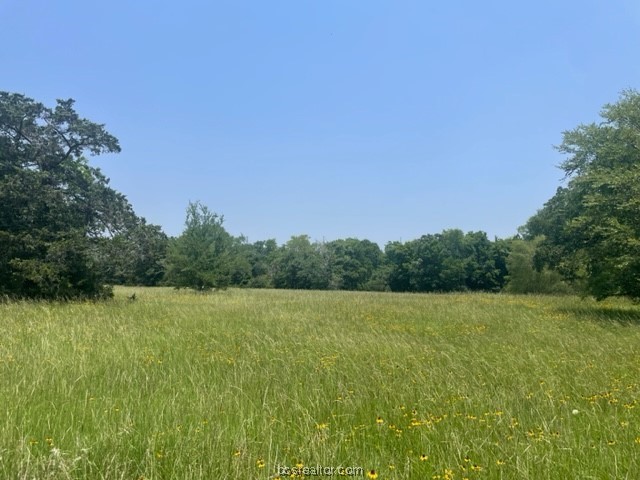 4731 Silver Hill Road, Unit COB Bryan, TX 77807 - Photo 11 of 12 a view of a field with an ocean view