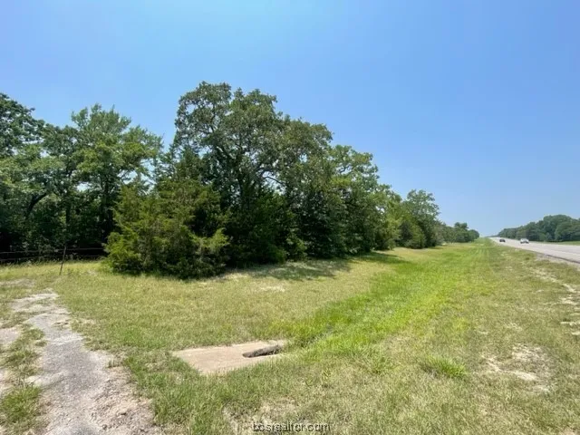a view of a field with an trees