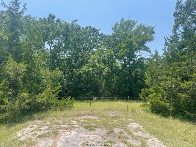 4731 Silver Hill Road, Unit COB Bryan, TX 77807 - Photo 3 of 12 a view of backyard with green space