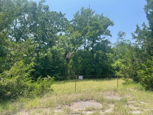 4731 Silver Hill Road, Unit COB Bryan, TX 77807 - Photo 4 of 12 a view of outdoor space and garden