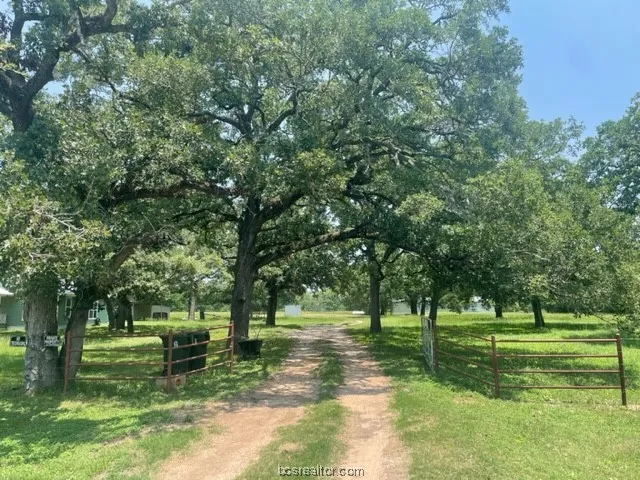 a view of park with trees