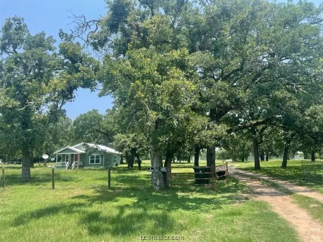 a view of a park with large trees