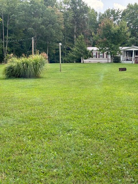 1123 War Fork Road McKee, KY 40447 - Photo 18 of 30 IMG_6042