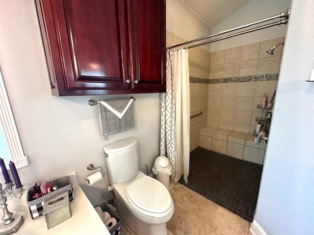 3123 Jeter Road Clifton, TN 38425 - Photo 18 of 40 a bathroom with a toilet and a shower curtain