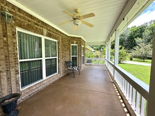 3123 Jeter Road Clifton, TN 38425 - Photo 29 of 40 a view of a porch with wooden floor and a potted plant