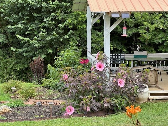 3123 Jeter Road Clifton, TN 38425 - Photo 34 of 40 a view of outdoor space yard and patio