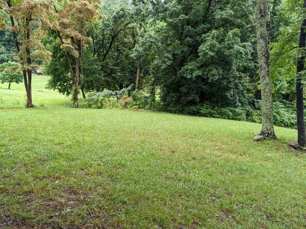 763 Blowing Cave Road Sevierville, TN 37876 - Photo 5 of 8