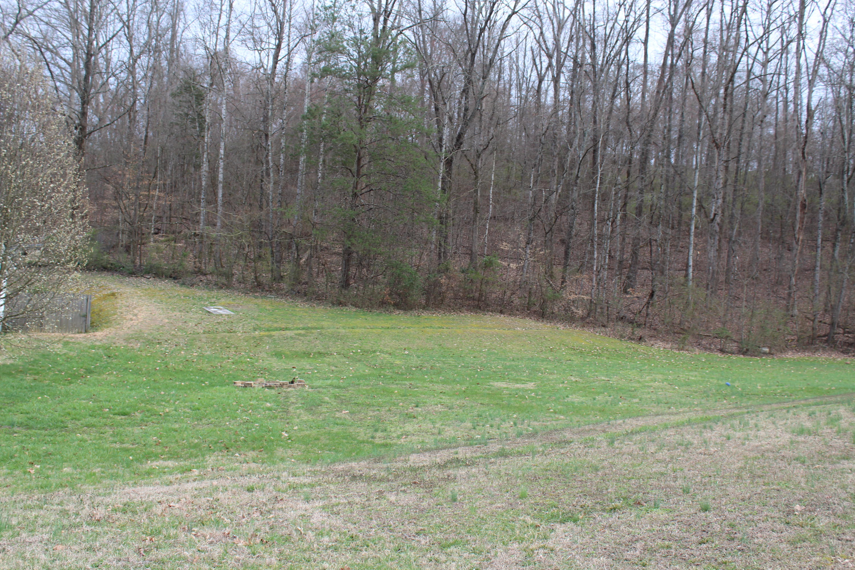 1025 Foust Carney Road Powell, TN 37849 - Photo 2 of 30 IMG_3026