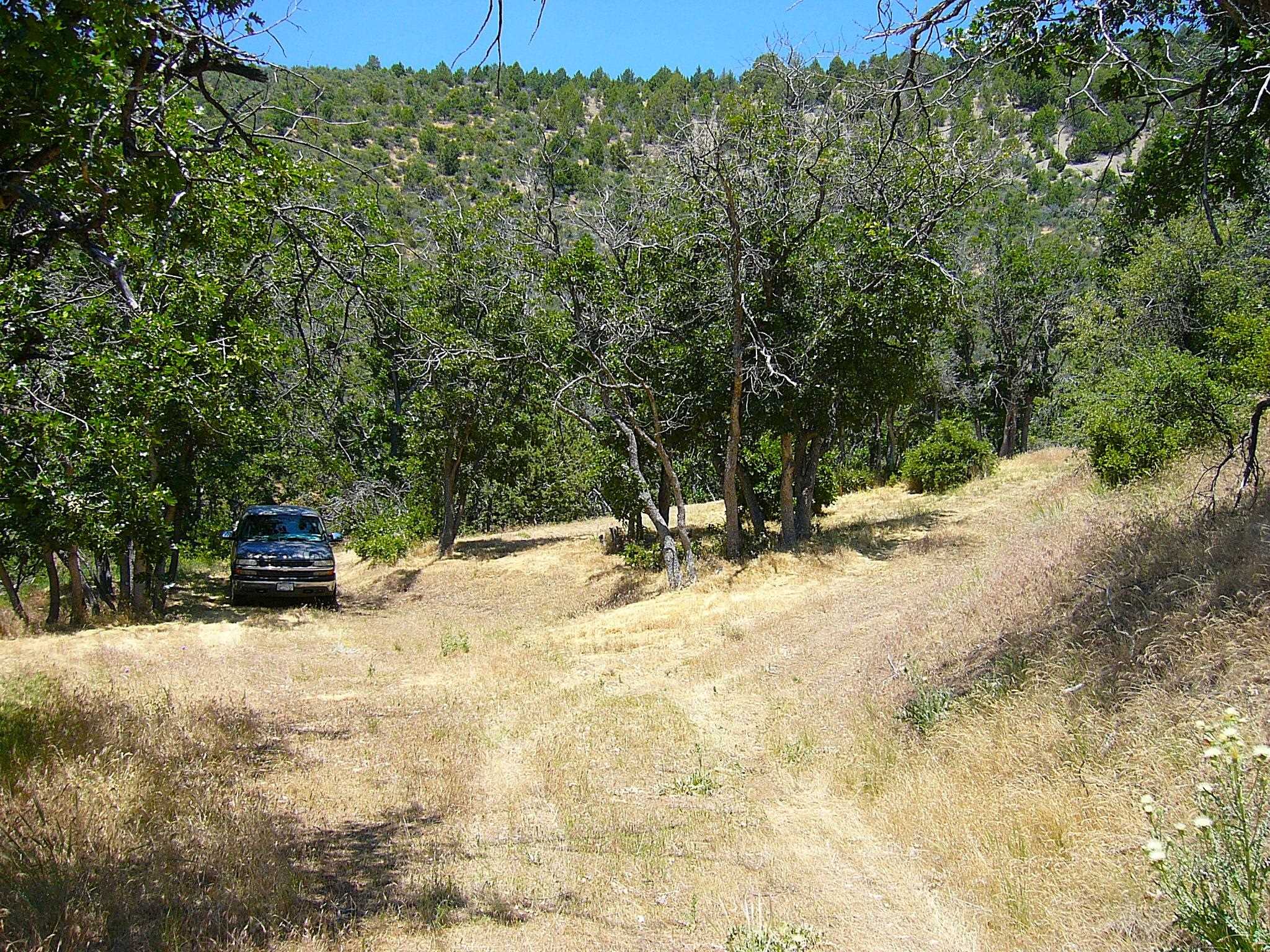 40 Acres Off Scarface Road Gazelle, CA 96034 - Photo 5 of 27 Gallery Image 5